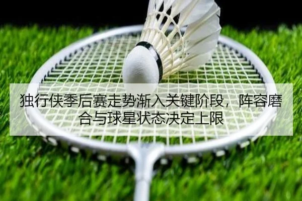 独行侠季后赛走势渐入关键阶段，阵容磨合与球星状态决定上限 - maiqiuzhan