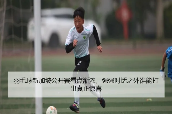 羽毛球新加坡公开赛看点渐浓，强强对话之外谁能打出真正惊喜 - maiqiuzhan
